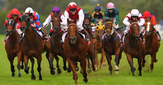 Ladbrokes horce racing betting